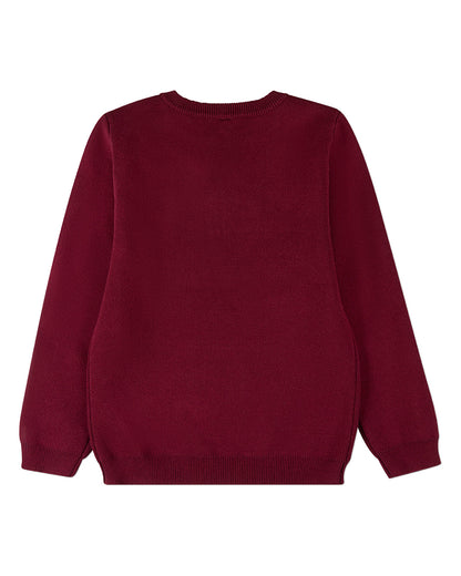 Boys 100% Cotton Knit Pullover Crewneck Sweater with Embossed 3D Crest